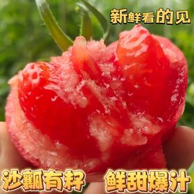 【京东发货】 普罗旺斯西红柿 净重3斤/4.5斤 现摘现发坏果包赔