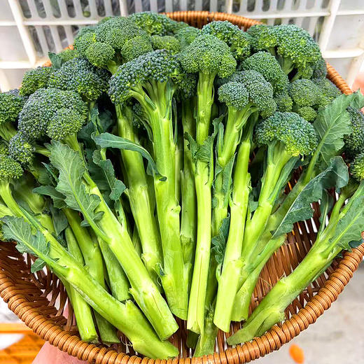 『福建甜杆芦笋西蓝薹』长杆西兰花，清新甜嫩，鲜脆爽口，顶冠和茎秆都可以食用 商品图10