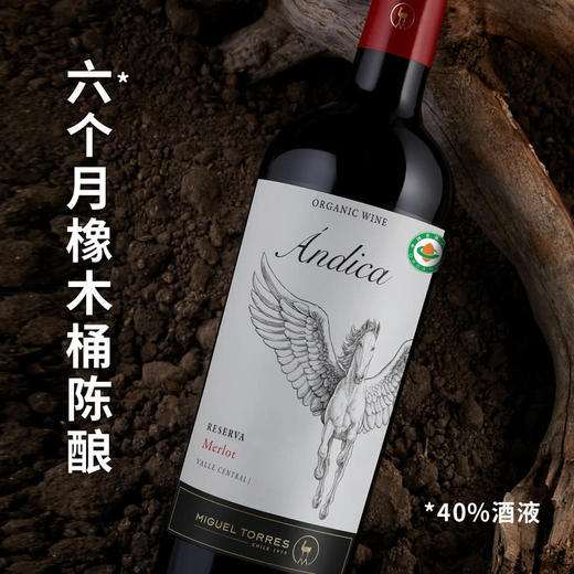 MM 山姆 米高桃乐丝（Miguel Torres）智利进口 安第卡珍藏美乐干红葡萄酒 750ml 商品图2