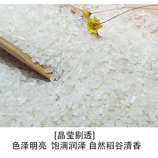 【哈北小镇】长粒香大米5kg 商品图2