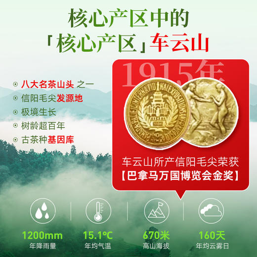 【2026年新茶预售】茶马世家丨信阳毛尖 河南名优绿茶 特级 春色满园 礼盒装 200g，新茶预计4月10日发货 商品图1