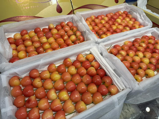 国产黄车 1.8斤装 商品图2