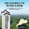 【甄选】化橘红发酵浓缩液饮真材实料酸甜美味科学配比240ml/盒（30ml*8瓶） 商品缩略图3