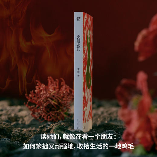 女朋友们  | 野生作者和她的普通女人故事集：小镇做题家、过气女艺人、北漂女青年……野草一样坚韧，烈火一样灼烧，满怀杀不死的欲望，救出了蕞普通的自己 商品图6