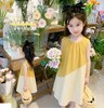 【24.9元清仓】儿童纯棉A字版连衣裙女童夏季棉裙子 商品缩略图0