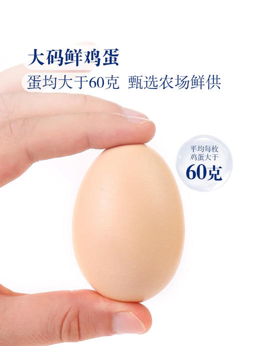MM 山姆 德青源 蛋博士大码鲜鸡蛋 30枚 1.8kg 商品图3