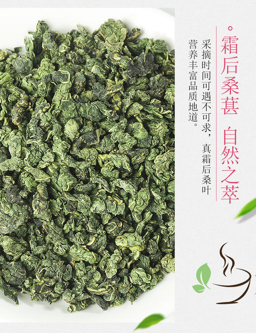 【高温杀青！墨绿卷青】桑叶茶桑叶新货桑叶茶霜后冻干散装500克霜桑叶。xa 商品图0