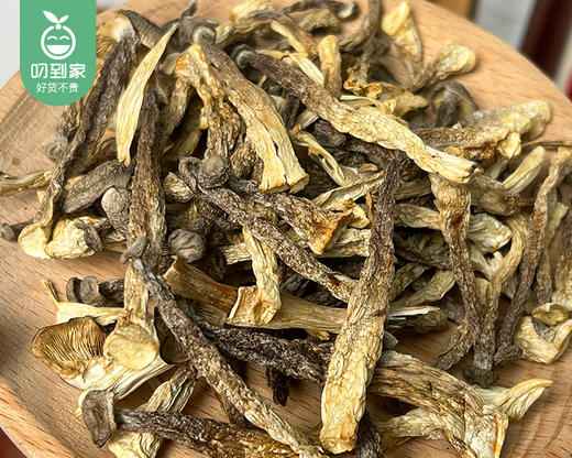 【到手共2包】古田鹿茸菇（嫩菇丁-干货）/1份（250g*2包）生产日期：26年4月 商品图1
