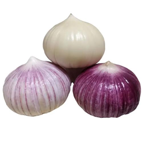 云南新鲜独头蒜，颗粒光泽，比一般蒜香3倍，引爆你的味蕾！ 商品图2