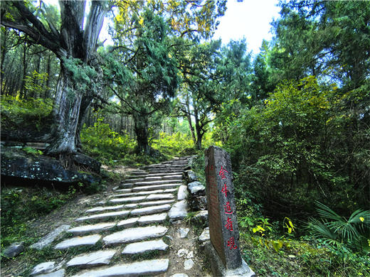 五一4日【徒步古蜀道】一条古蜀道-半部华夏史の徒步金牛古蜀道-剑阆古蜀道-剑门关-昭化古城-不夜三国城-广元 商品图4