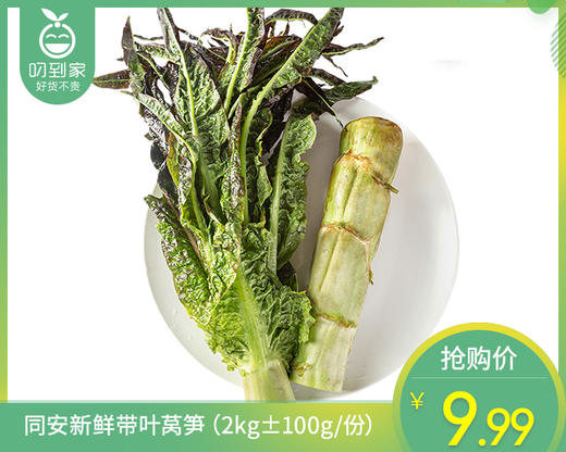 同安新鲜带叶莴笋（2kg±100g/份） 商品图0