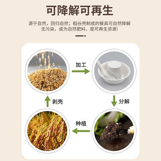 MT一次性餐盘套装一次性餐具-纪念日百货门店同款171044569 商品图3