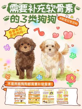 狗狗都需要补软骨素❓ 只是这3类需注意🙅‍♀️