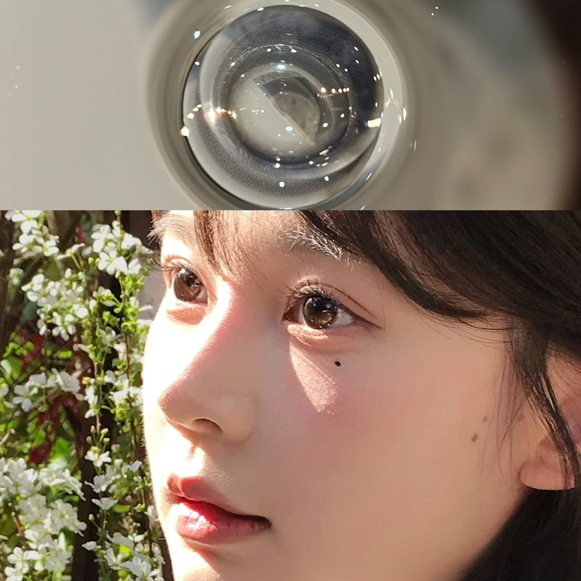 Laseecon黑糖肉包（日抛）