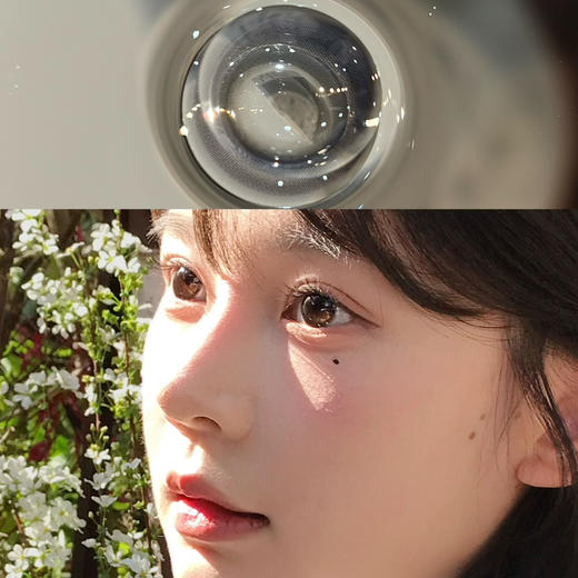 Laseecon黑糖肉包（日抛） 商品图0