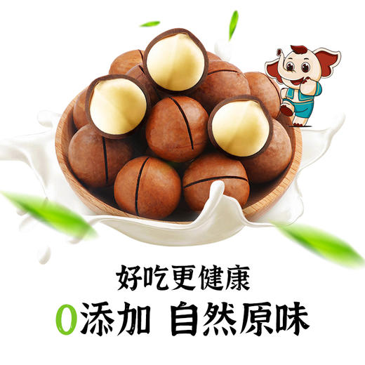 有机夏威夷果218g健康零食无添加营养美味 商品图1