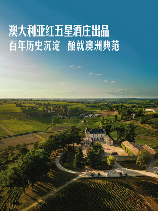 MM 山姆 Wynns酝思 澳大利亚进口 酝维尔赤霞珠红葡萄酒 750ml 商品图4