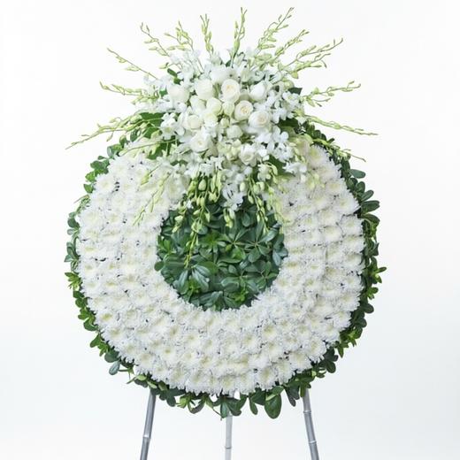 白菊兰魂 商品图0