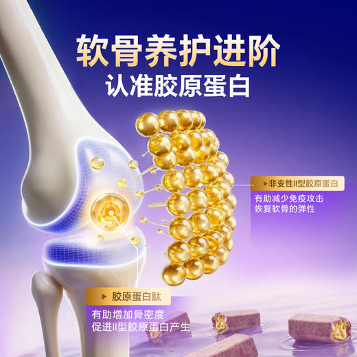 MAG鲨鱼软骨小分子冻干-猫咪狗狗滋养养护关节营养补充52g 商品图4