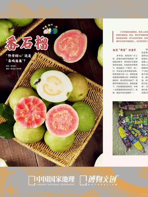 博物杂志 2026年4月刊 鼯鼠
封面故事 翼装飞行鼻祖 商品图10