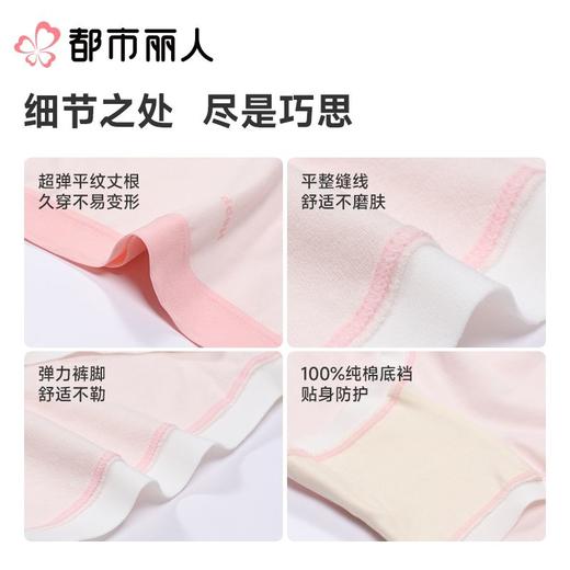 都市丽人内裤女士内裤40支棉内裤棉质内裤舒肤棉LKC5B1 商品图3