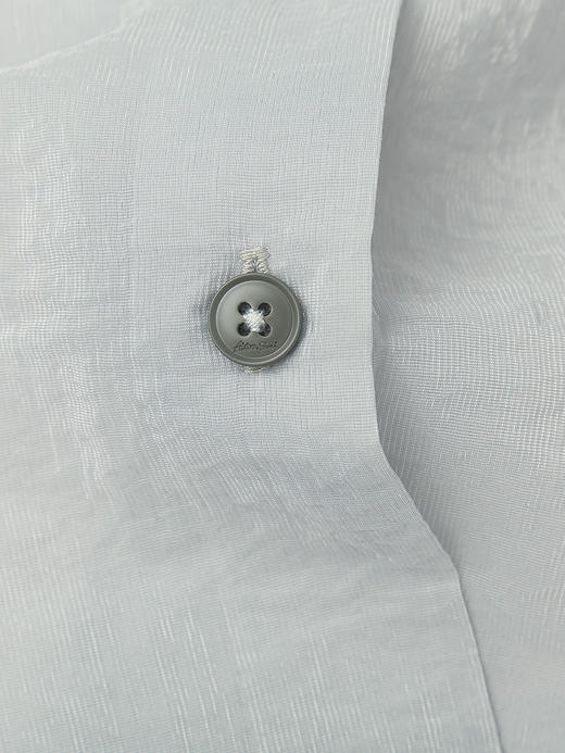 浅蓝褶皱肌理衬衫女 2026 春季新款宽松显瘦长袖衬衣 高级感垂坠气质上衣 商品图4