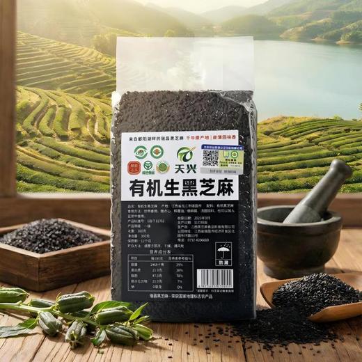 【瑞昌黑芝麻】天兴有机生黑芝麻粒 江西原产干净颗粒饱满真空包装350g/袋 商品图5