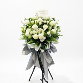 菊立霜晨·遥寄Condolences