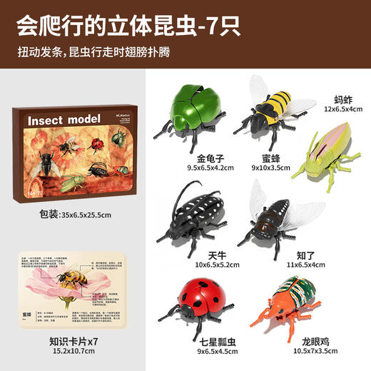 【7个会爬行的立体昆虫 有夜光】百乐森立体昆虫发条玩具 儿童益智爬行仿真动物虫子模型礼盒 赠7张认知卡+礼盒套装 商品图10