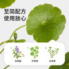 【分销2026】绿鼻子龙胆止痒液儿童专用蚊虫叮咬舒缓滚珠凝露3g-4月活动 商品缩略图3