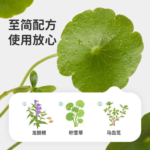 【分销2026】绿鼻子龙胆止痒液儿童专用蚊虫叮咬舒缓滚珠凝露3g-4月活动 商品图3