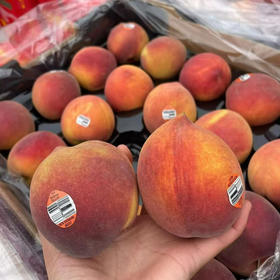 〔上海直发包邮〕澳洲黄桃/南非白桃