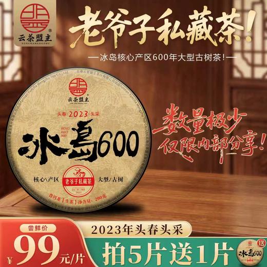 冰岛秘境-冰岛的心脏，樶核心的产区，樶纯正的滋味！2023年老爷子私藏茶【冰岛600】高香高甜，限时50片补贴尝鲜价，售罄即无！ 商品图0