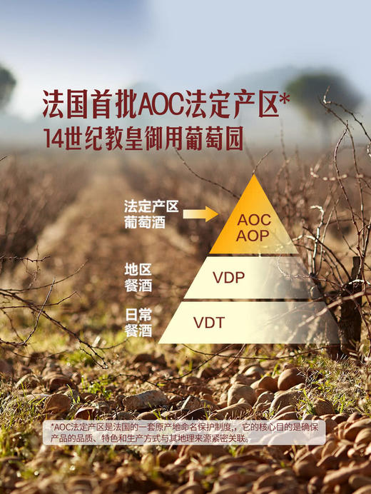 MM 山姆 Member's Mark 法国进口 教皇新堡红葡萄酒 750ml 商品图4