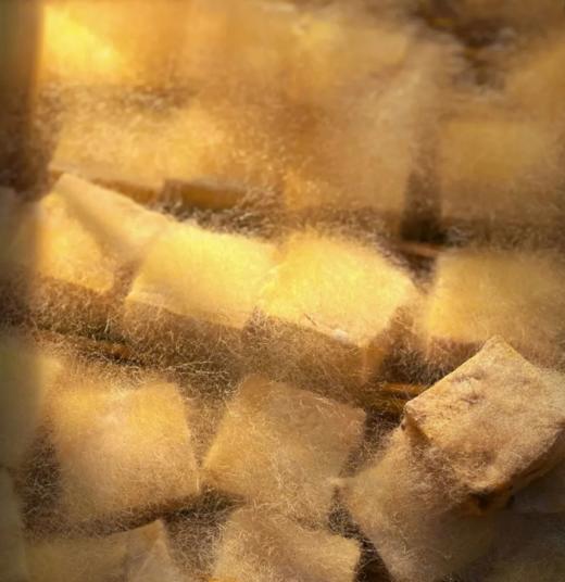 在菌屋云南鸡枞油腐乳 ，配料干净，咸度适中，鲜香嫩滑！ 商品图11