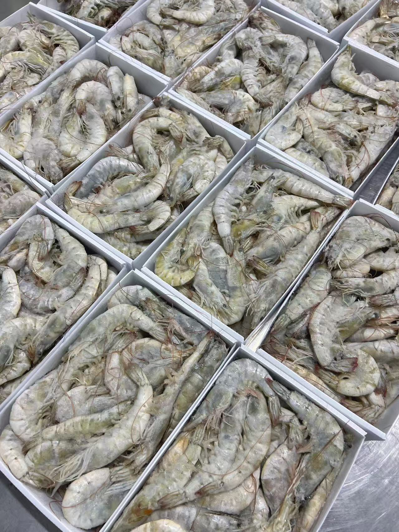 【生鲜专区-顺丰发货】厄瓜多尔盐冻大虾 原装进口 原箱发货 约1.5公斤/盒(3斤)  青岛发货 顺丰包邮  {冷冻生鲜食品请及时签收}约48-72小时发货 勿催单