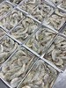 【生鲜专区-顺丰发货】厄瓜多尔盐冻大虾 原装进口 原箱发货 约1.5公斤/盒(3斤)  青岛发货 顺丰包邮  {冷冻生鲜食品请及时签收}约48-72小时发货 勿催单 商品缩略图0