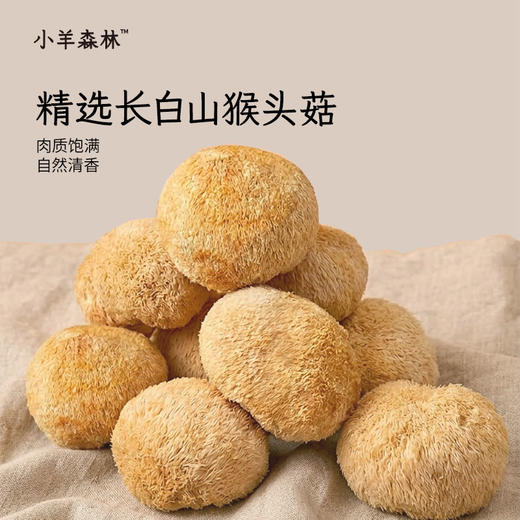 猴头菇山药小米糊 商品图1