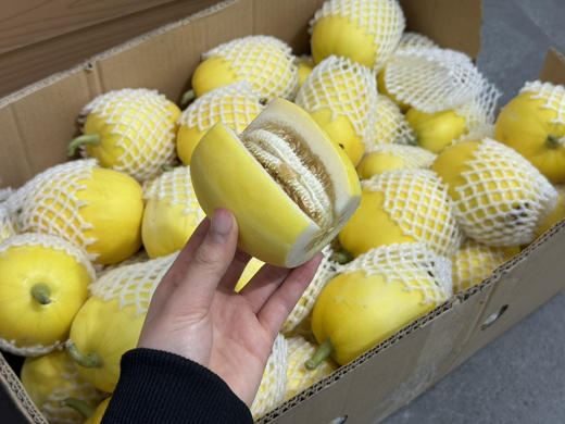 小香瓜（散称15.8/斤 称重补差） 商品图0