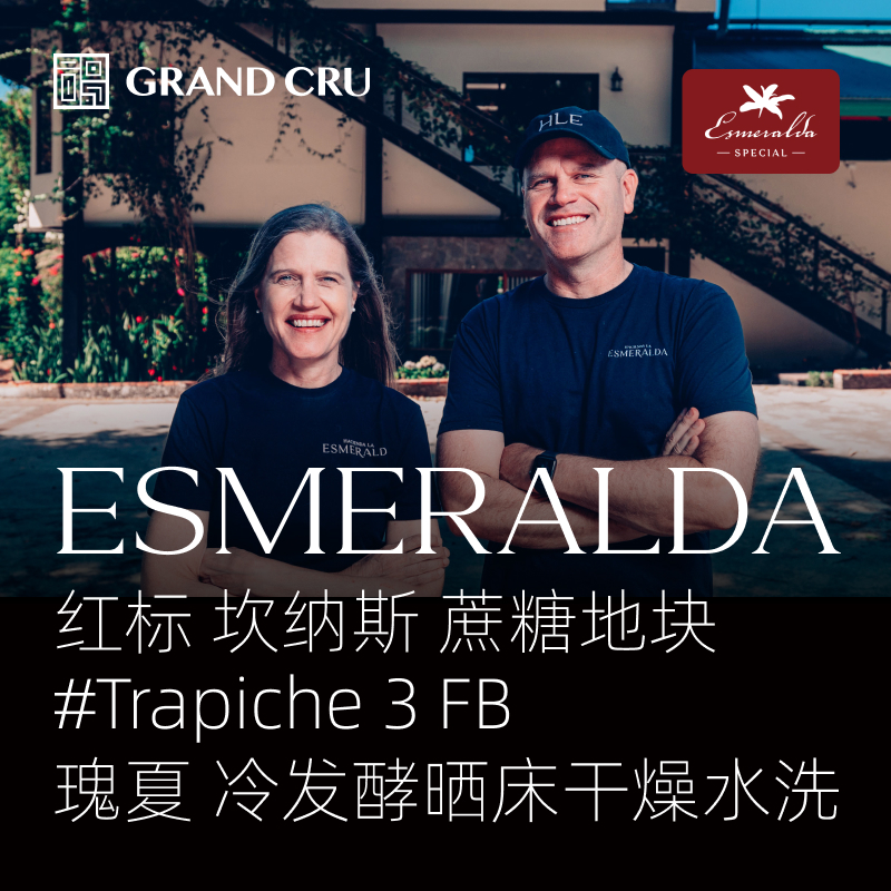 2026新产季｜翡翠庄园 红标 冷发酵晒床干燥水洗瑰夏 Trapiche 3 FB 蔗糖