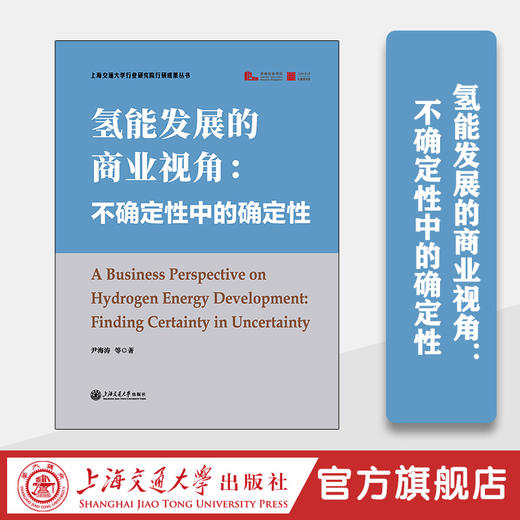 氢能发展的商业视角：不确定性中的确定性 商品图0
