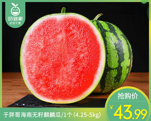 于胖哥海南无籽麒麟瓜/1个（4.25-5kg） 商品图0