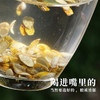 云南石斛切片150g野生铁皮石斛干货养生茶饮必备 商品缩略图3