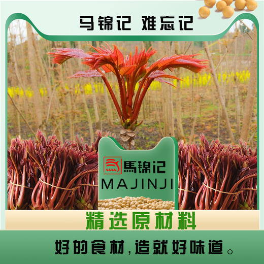 【超下饭❗️9.9一瓶🔥香椿酱】沂蒙特产头茬香椿，新鲜制作锁鲜留香，鲜香十足 200g，老少皆宜，香椿芽夹馍拌面酱拌饭酱沂蒙特产香椿酱 商品图2