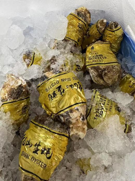 一件生蚝 商品图0