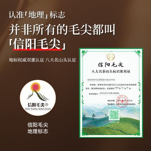 【2026年新茶预售】茶马世家丨信阳毛尖 绿茶 特级 山河志 礼盒装 200g，新茶预计4月10日发货 商品图3