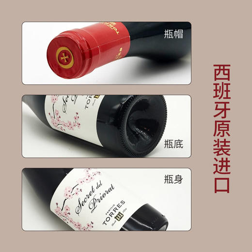 MM 山姆 桃乐丝（Torres）西班牙进口 贝里奥秘干红葡萄酒 750ml 商品图4