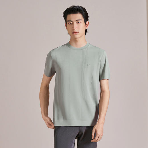 【伊力特/条纹提花】柒牌短袖T恤男装2026夏季新款圆领休闲上衣 130T72070 商品图1