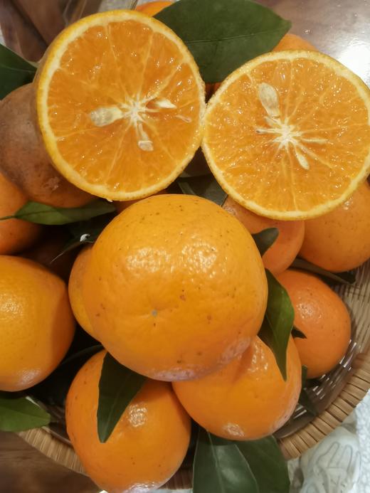 合作产品/广西生态沃柑 商品图1