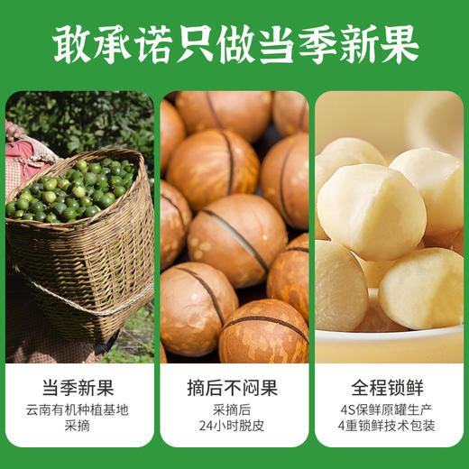 有机夏威夷果218g健康零食无添加营养美味 商品图2
